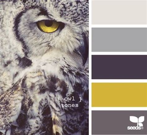 receiving color palettes inspired  animals