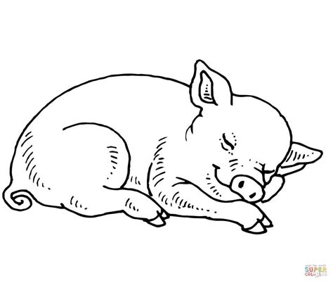 coloring page pig elephant coloring page  coloring pages animal coloring pages