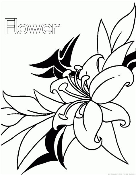 flower coloring pages part