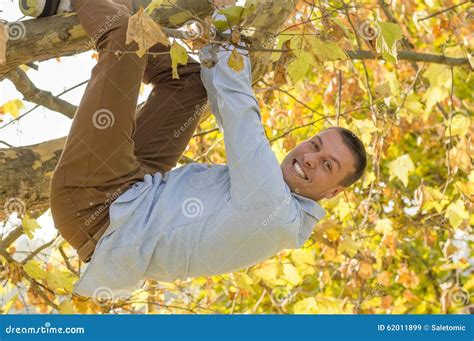 smiling handsome man hanging   tree stock image image  handsome attractive