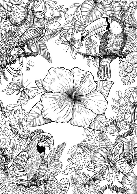 birds  behance bird coloring pages animal coloring pages coloring