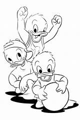 Huey Dewey Louie Donald Nephews Ducks Drawing Coloring Basketball Getdrawings sketch template