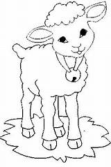 Colorat Disegni Sheep Mouton Schafe Pecora Coloring Planse Oi Animale Plansa Fattoria Cloche Colorare Agnello Malvorlagen Autour Desene Moutons P10 sketch template