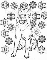 Norwegian Elkhound Pages sketch template