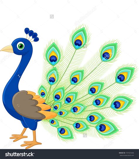 clipart picture of a peacock clip art library