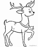 Coloring Reindeer Pages Popular sketch template