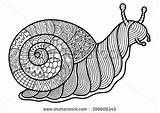 Snail Zentangle Cute sketch template