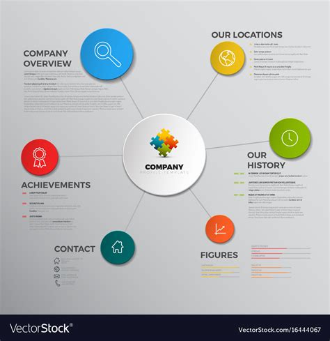 company infographic overview design template vector image