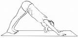 Mukha Adho Svanasana Yoga Surya Poses Namaskara Clennell Bobby Iyengar Drawn Started sketch template