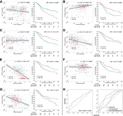 Seven Cpg Based Prognostic Signature Coupled With Gene Expression