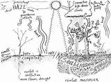 Carbon Soil Sponge Recognizing Fire Builds Fungi Fights Forest Global 3cr sketch template