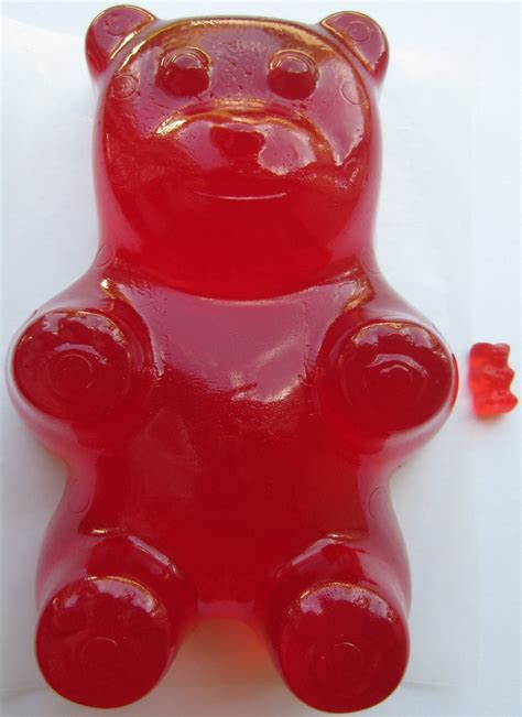 edible giant gummy bear red raspberry