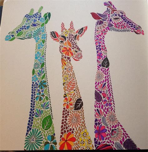 millie marottas animal kingdom  colouring book adventure amazonco