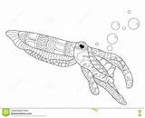 Cuttlefish Coloritura Adulti Vettore Seppia sketch template