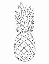 Abacaxi Pineapple Drawing Pineapples 3d Outline Pinapple Categorias Tickles Meses Imprimirdesenhos sketch template