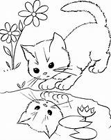 Katze Babys Coloring Ausdrucken Malvorlagen Kidsdrawing Cat sketch template