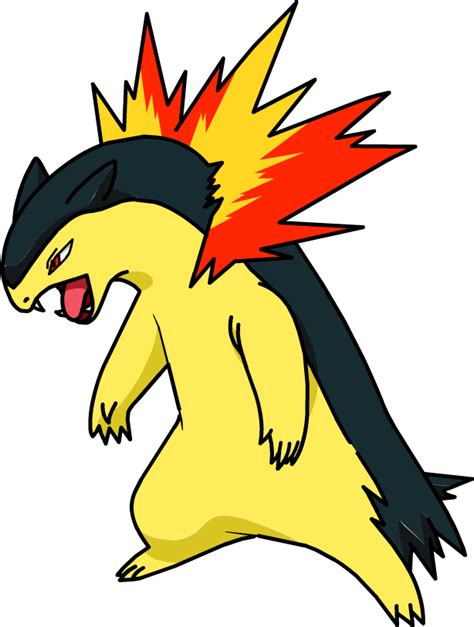 typhlosion pokémon wiki fandom powered by wikia