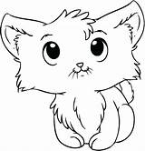 Kitten Drawing Face Coloring Cute Pages Kittens Baby Clipartmag sketch template