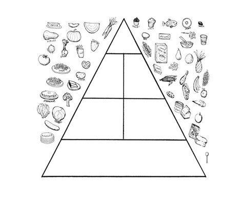 coloring page  kids food pyramid coloring pages  kids food themes