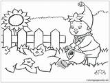 Pages Coloring Fence Picket Getcolorings Flower Garden Color Getdrawings sketch template