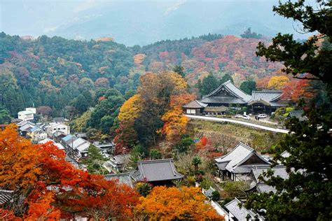visiter nara  sa region destination incontournable du japon