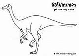 Gallimimus Dinosaur Coloring Pages Silhouette sketch template