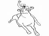 Bull Coloring Pages Printable Riding Bulls Chicago Bucking Drawing Ferdinand Color Matador Template Getcolorings Sheet Cowboy Draw Getdrawings Popular Realistic sketch template
