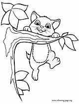Coloring Pages Cute Hanging Cats Kitten Cat Branch Kittens Tree Color Printable Cartoon Colouring Print Animal Seems Enjoy Something Funny sketch template