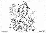 Colorir Conejos Coelhos Imprimir Familia sketch template
