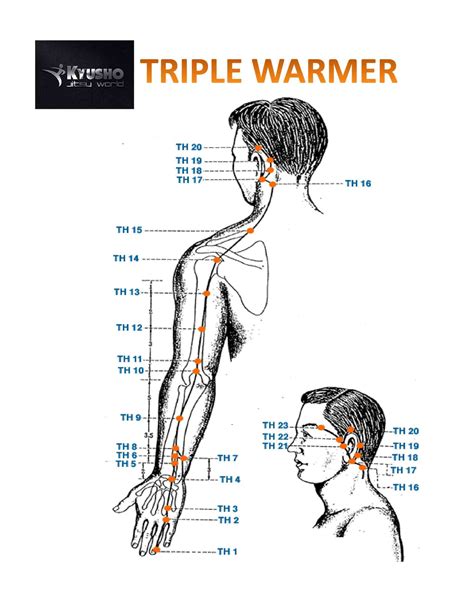 painful pressure points   human body discover  top