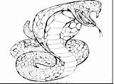 Coloring Rattlesnake Diamondback Western Pages Getcolorings Getdrawings sketch template