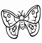 Moth Coloring Pages Color Drawing Insect Animals Animal Line Sheets Clipart Template Print Thecolor Death Drawings Clipartmag Results Templates Getdrawings sketch template