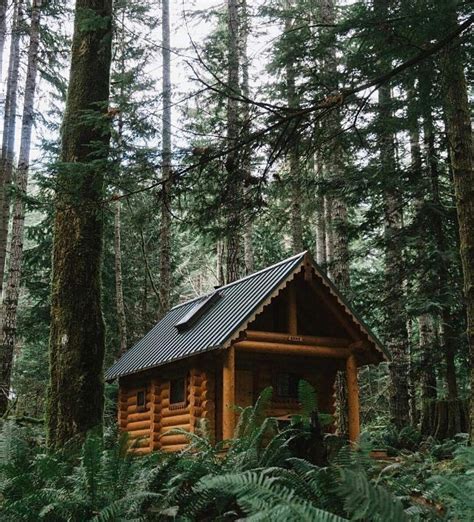 rustic roamer cabin cottage   woods forest house