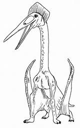 Hatzegopteryx Dinosaur Planet Pterosaur Cast Characters Huge sketch template