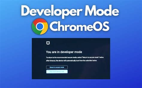 enable developer mode  chromebook  techpp