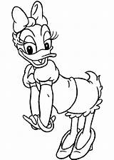 Ausmalbilder Ausdrucken Malvorlagen Duck Ausmalen Pato Bilderzumnachmalen Dibujosparacolorear Kostenlos Walt sketch template