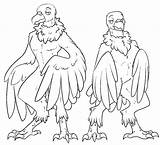 Base Anthro Bases Vulture Griffon Deviantart sketch template