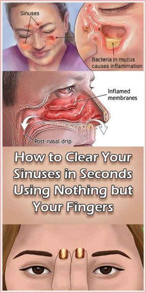 clear  sinuses  seconds     fingers