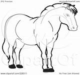 Horse Strong Outline Clipart Coloring Illustration Royalty Rf Perera Lal sketch template