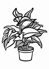 Plant Coloring Indoor Pages Large sketch template