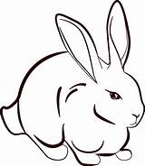 Rabbit Line Rabbits Drawing Clip Animals Google sketch template
