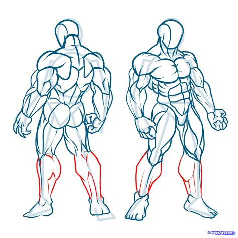 muscle body drawing  getdrawings