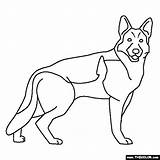 German Shepherd Coloring Pages Dog Dogs Drawings Color Drawing Shepherds Mix Colouring Tattoo Easy Husky Thecolor Wolf Lineart Illustration Choose sketch template