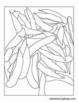 Coloring Beans Pages Bean Green Soybeans String Plant Drawing Getdrawings Clipart Colouring Library Popular sketch template