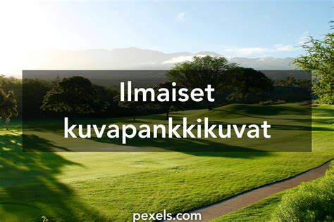 kuvat vaerissae golfkenttae pexels ilmaiset kuvapankkikuvat