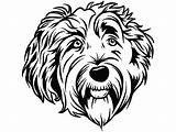 Labradoodle Pedigree Dog Clipart Clipartmag sketch template