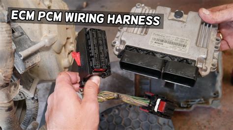 ecm wiring harness rhonddaruslan
