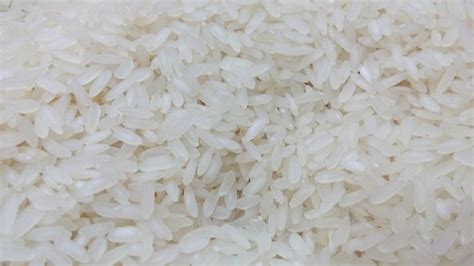 cooked rice rice