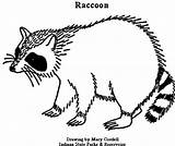 Raccoon Everfreecoloring sketch template