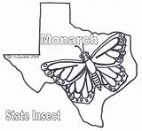 Texas Coloring Pecan State Tree Color Pages Butterfly Texasbob Template Monarch Sheets Bob sketch template